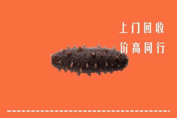 高价求购：麻山区回收海参
